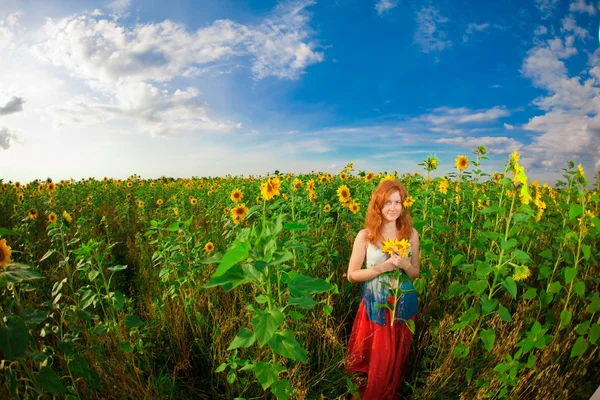 Rudovláska se slunečnicemi — Stock fotografie