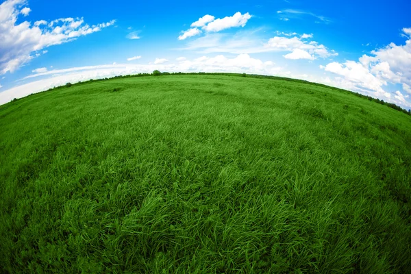 Grünes Feld, blauer Himmel und weiße Wolken — Stockfoto