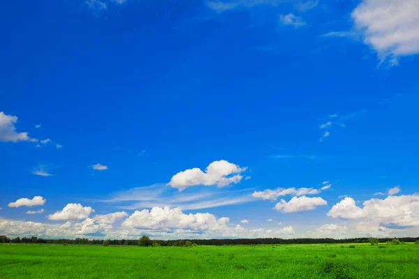 Grünes Feld, blauer Himmel und weiße Wolken — Stockfoto