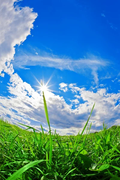 Yeşil alan, mavi gökyüzü ve beyaz bulutlar — Stok fotoğraf