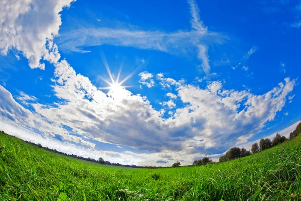 Grönt fält, blå himmel och vita moln — Stockfoto