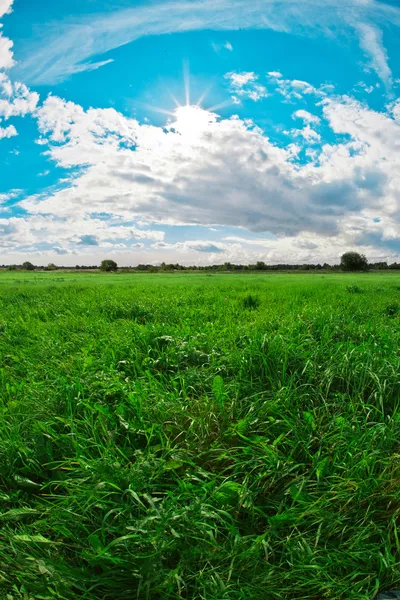 Green field, blue sky and white clouds — Stock Photo, Image