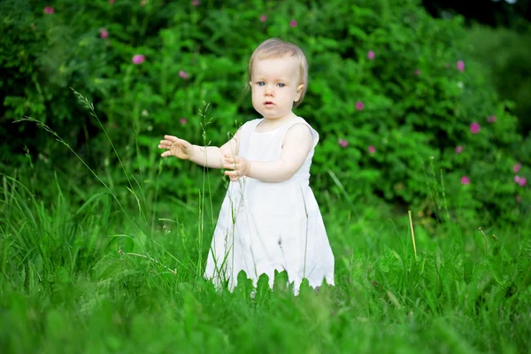 Little pretty girl on a green lawn Royalty Free Stock Images