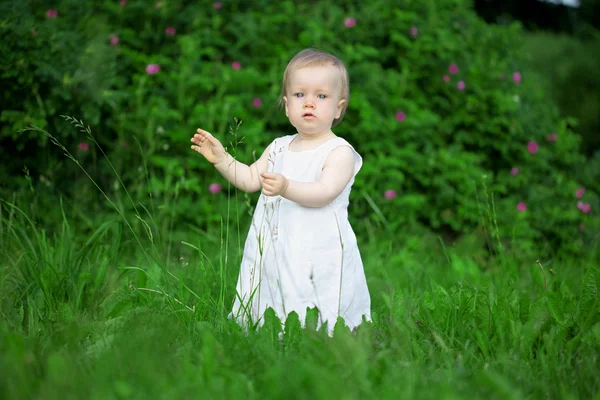 Little pretty girl on a green lawn Stock Photo