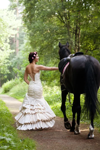 Donna e cavallo Immagini Stock Royalty Free