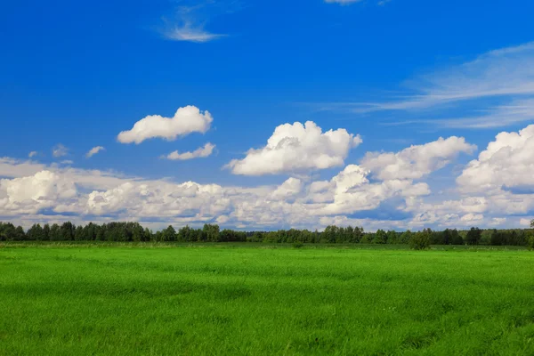 Grönt fält, blå himmel och vita moln Royaltyfria Stockfoton
