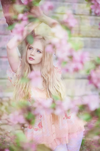 Красивая женщина с цветущим деревом — стоковое фото