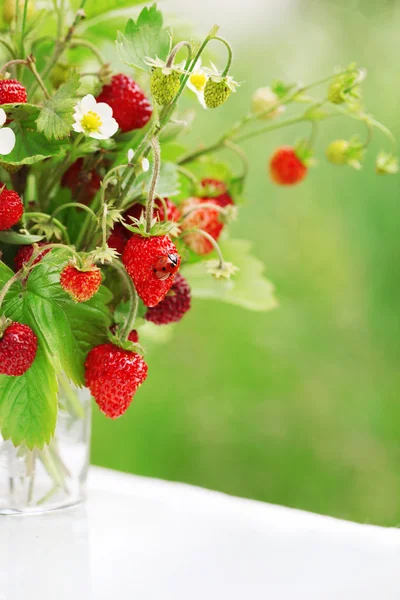 딸기의 꽃다발 — 스톡 사진