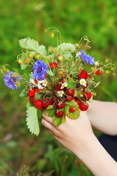 Bouquet of strawberries — Stock Photo, Image