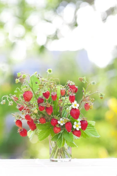 Strauß Erdbeeren — Stockfoto