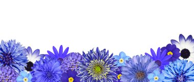 Selection of Various Blue Flowers at Bottom Row Isolated clipart