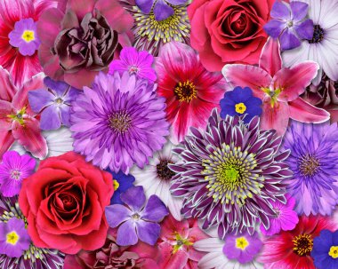 Red, Pink, Purple Flower Background clipart