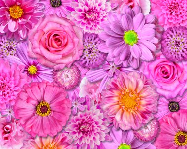 Pink Flower Background clipart