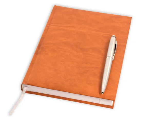Дневник ручкой — стоковое фото
