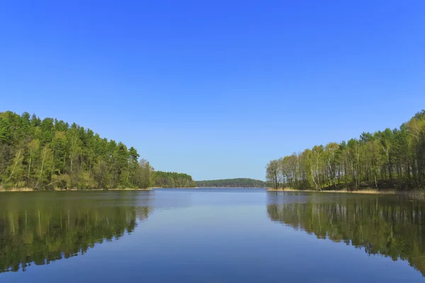 Güzel orman gölü — Stok fotoğraf
