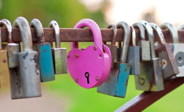 Pink heart-shaped lock — Stock Photo, Image