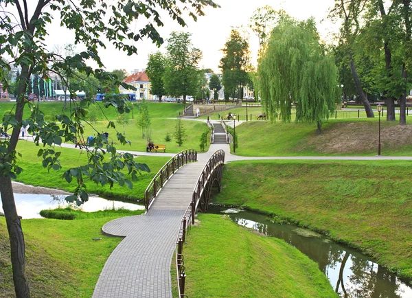 stock image Wooden bridge over a stream