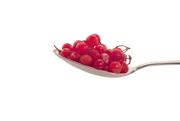 Spoonful of red currant — Stock Photo, Image