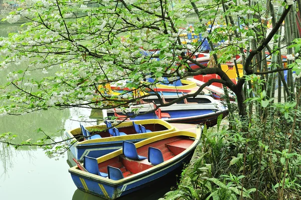 stock image Boat on the pond