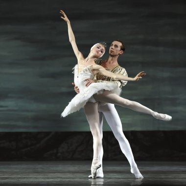 Swan lake ballet performed by russian royal ballet clipart