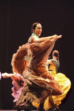 The Spanish Flamenco Dancer clipart