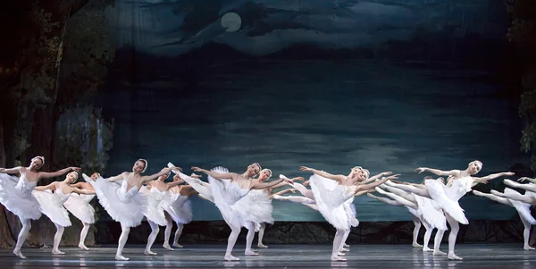 Bailarinas del lago Swan — Foto de Stock
