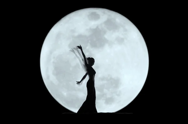 Graziosa silhouette ballerina — Foto Stock