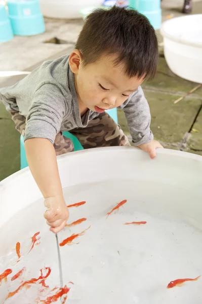 Dítě hraje se zlatými rybičkami — Stock fotografie