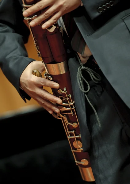 風音楽室内楽のバスーン奏者 — ストック写真