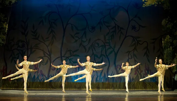 Swan Lake ballet performed by Russian royal ballet — Stock Photo, Image