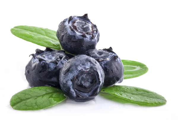 Blueberries and leaves — Stock Photo, Image