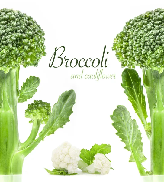 Brokolice a květák — Stock fotografie