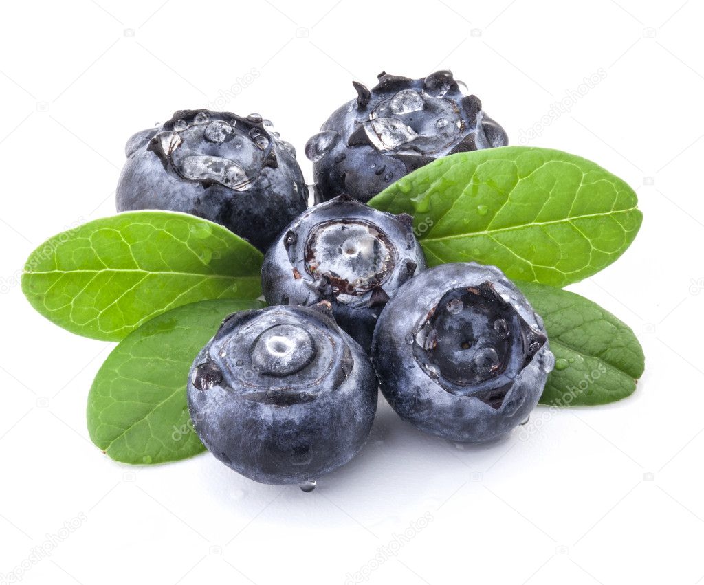 Blueberries and leaves