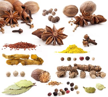 Different spices clipart