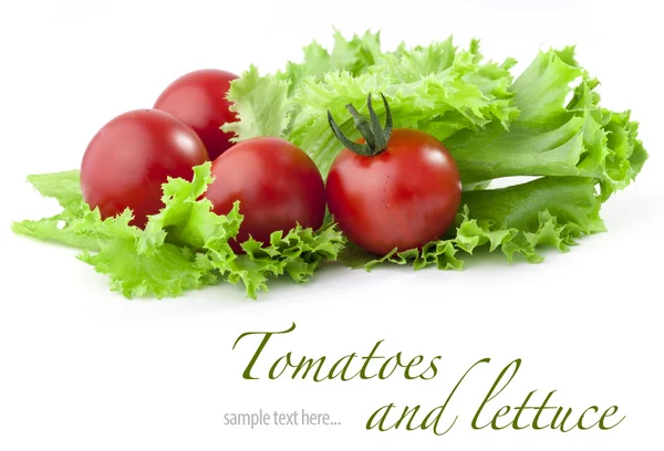 Sallad och tomater — Stockfoto
