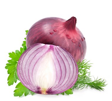 Onions and leaves parsley and dill clipart