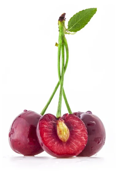 Cherries on a branch with a leaf — Stock Photo, Image