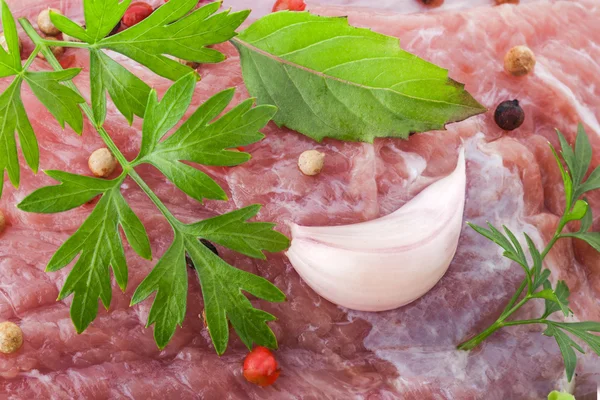 stock image Raw meat, herbs and spices