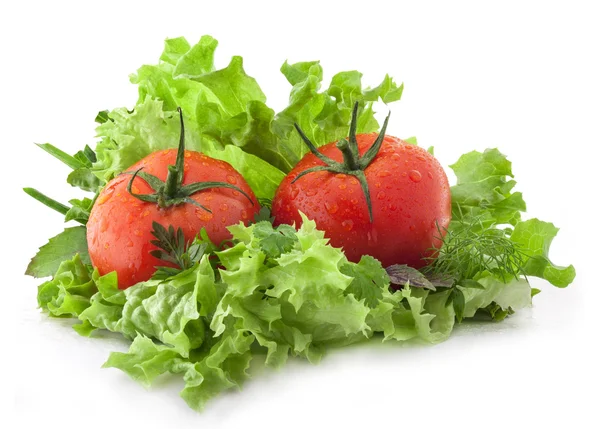 Salat und Tomaten — Stockfoto