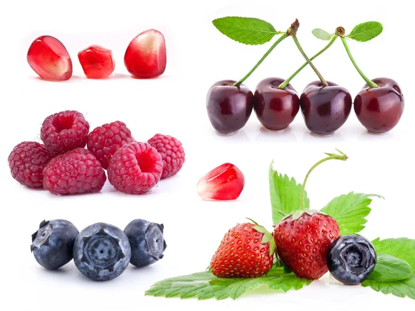 Collectie van berry — Stockfoto
