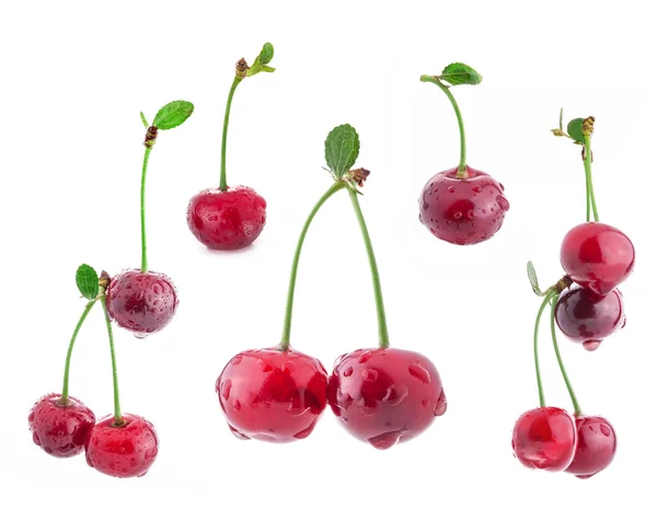 Cherries on a branch with a leaf — Stock Photo, Image