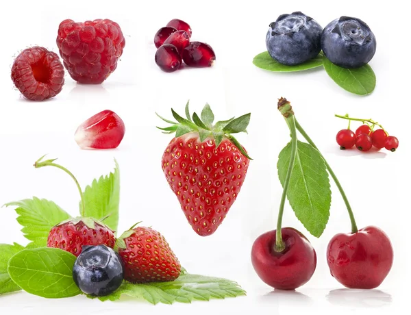 Collection of berry Royalty Free Stock Photos