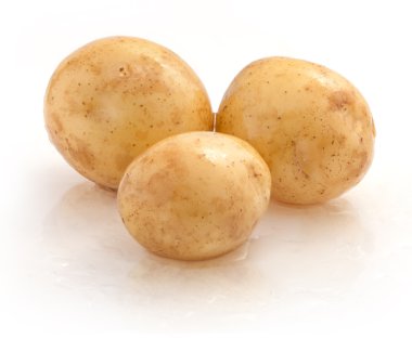 Genç patates