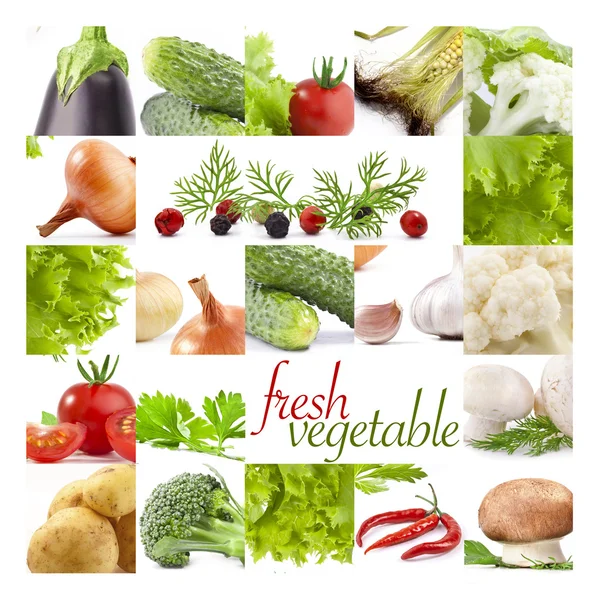 Collecte de légumes — Photo