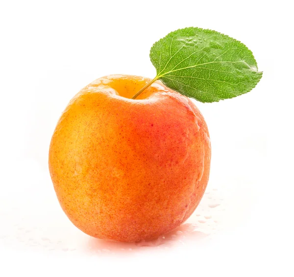 Плоды абрикоса — стоковое фото