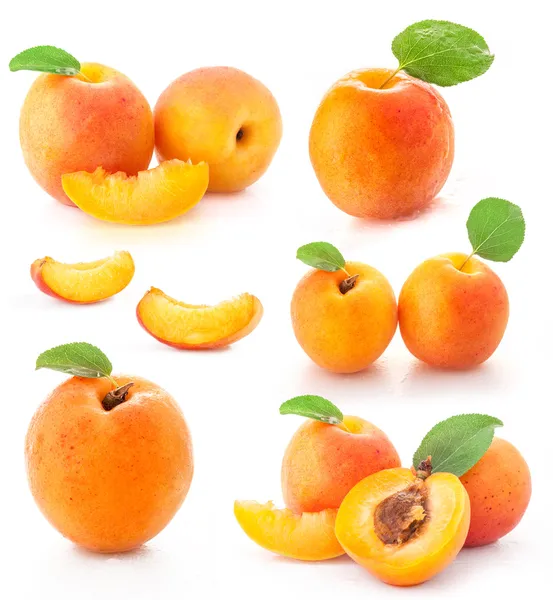 Collection of apricot fruits — Stock Photo, Image