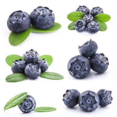 Collection of Blueberries clipart