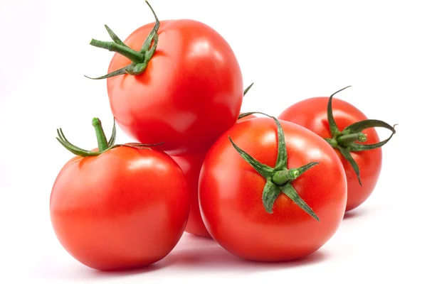 Složení rajčat — Stock fotografie