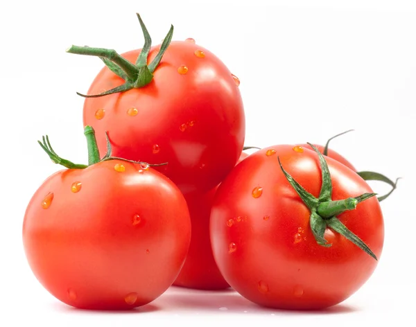 Состав помидоров — стоковое фото