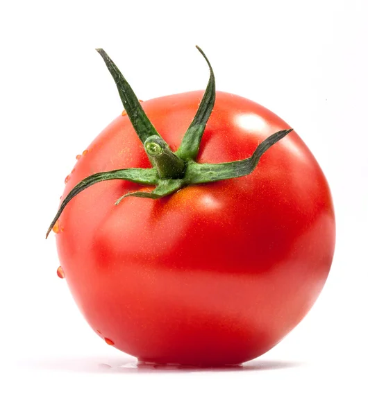 Tomat med vattendroppar — Stockfoto